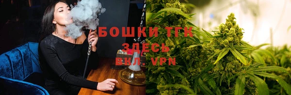 экстази Михайлов