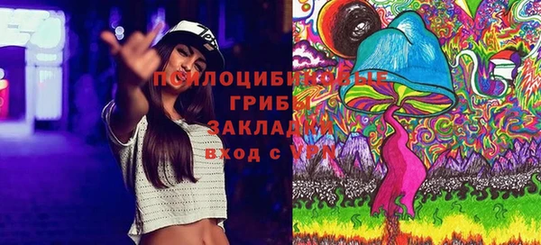 экстази Михайлов