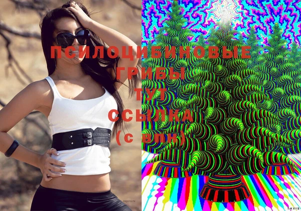 экстази Михайлов
