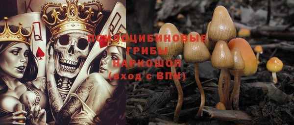 экстази Михайлов